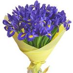 Букеты из ирисов