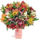 Квіти по виду