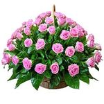 Корзины роз