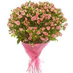 Кущові троянди