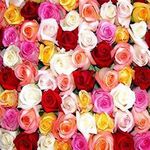 Троянди поштучно у Києві