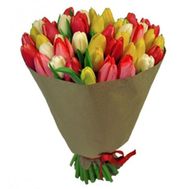 Букет із 65 тюльпанів