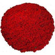 Букет із 1001 троянди