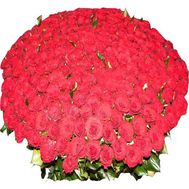 Букет із 501 троянди