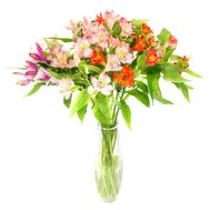 Букет із 11 різнокольорових альстромерій