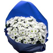 Букет із 11 ромашкових хризантем