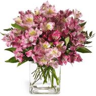 Букет із 15 рожевих альстромерій