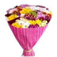 Букет із 25 хризантем