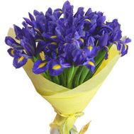Букет із 35 ірисів