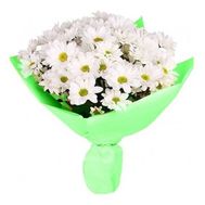 Букет із 9 ромашок