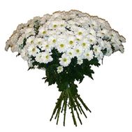Букет із 21 ромашковою хризантеми