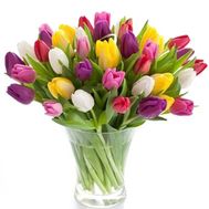 Букет із 55 тюльпанів