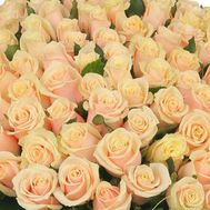 Кремові троянди поштучно
