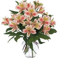 Букет із 9 рожевих альстромерій