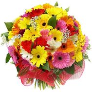 Букет квітів із 45 різнокольорових гербер