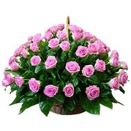 Кошик з 75 рожевих троянд