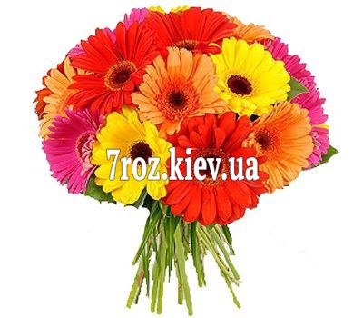 Букет квітів із 21 різнобарвною гербери