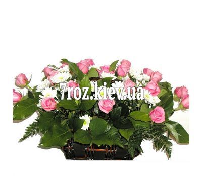 Кошик з 21 троянди і 6 хризантем