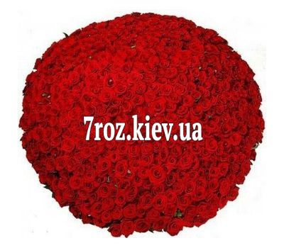 Букет із 1001 троянди