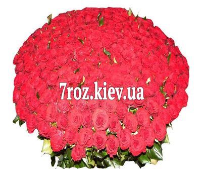 Букет із 501 троянди