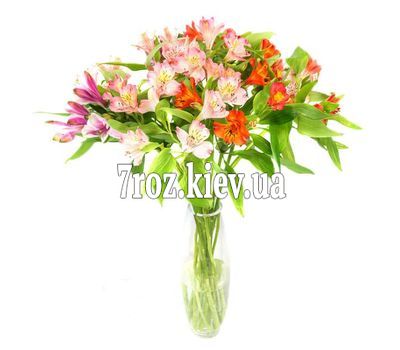 Букет із 11 різнокольорових альстромерій
