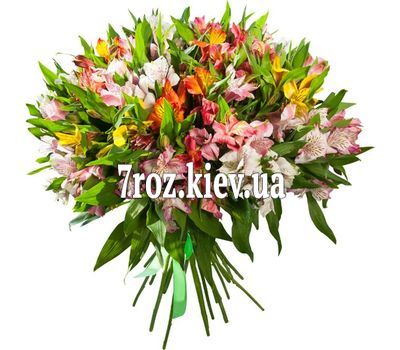 Букет із 35 альстромерій