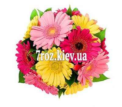 Букет квітів із 13 різнокольорових гербер