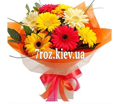 Букет із 9 різнокольорових гербер