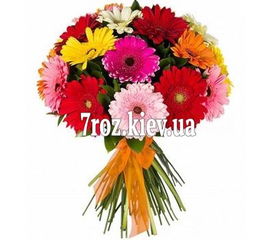 Букет із 25 гербер