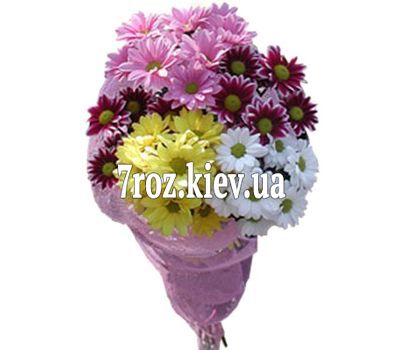 Букет із 5 хризантем