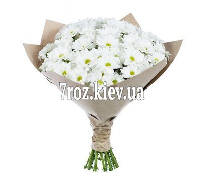Букет із 15 хризантем