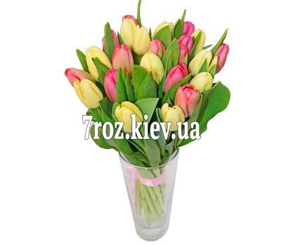 Букет із 19 тюльпанів