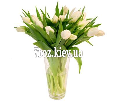 Букет із 29 тюльпанів