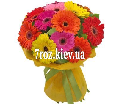 Букет із 17 гербер