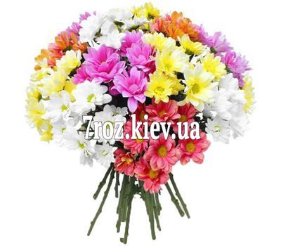 Букет із 15 хризантем