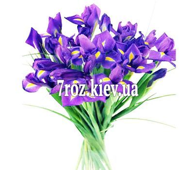 Букет із 21 ірису