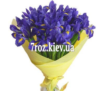 Букет із 35 ірисів