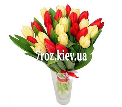 Букет із 25 тюльпанів