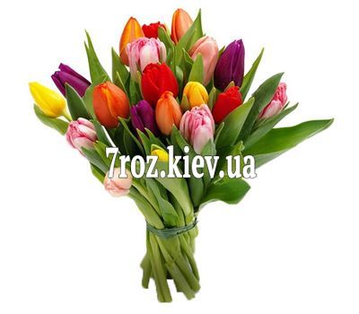 Букет із 19 тюльпанів