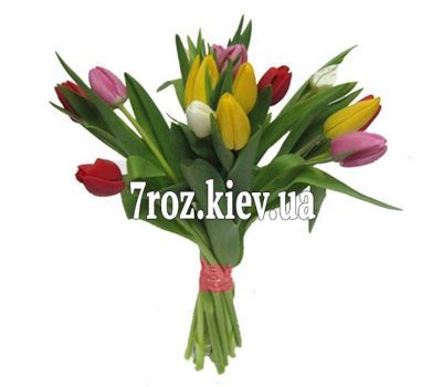 Букет із 15 тюльпанів