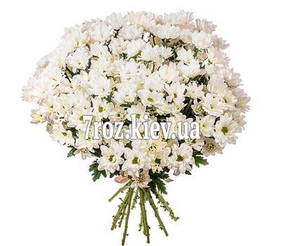 Букет із 13 ромашок
