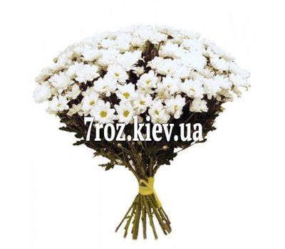 Букет із 17 ромашок
