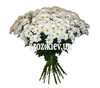 Букет із 21 ромашковою хризантеми