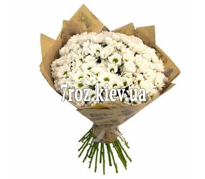 Букет із 25 ромашкових хризантем