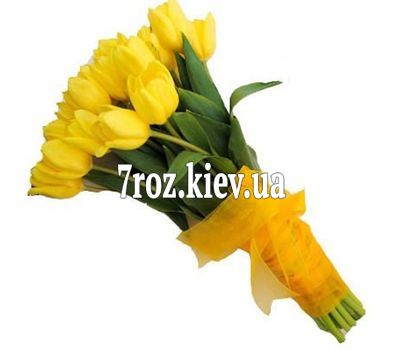 Букет із 29 тюльпанів
