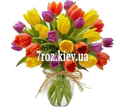 Букет із 25 тюльпанів