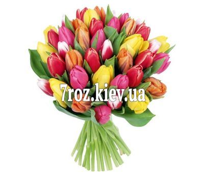 Букет із 41 тюльпана