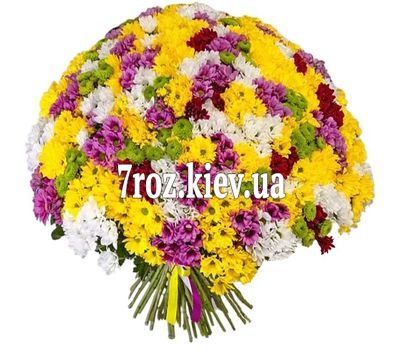 Букет із 101 хризантеми