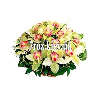 Кошик з 19 орхідей