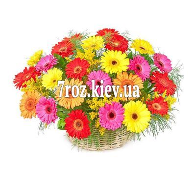 Кошик з 25 гербер